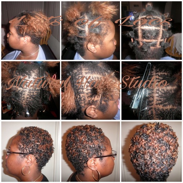 Lots of Locs natural hair styling portfolio collage