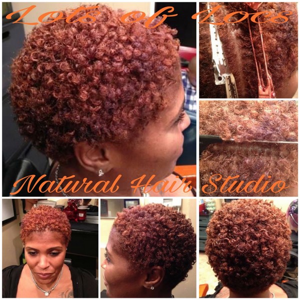 Lots of Locs natural hair styling portfolio collage